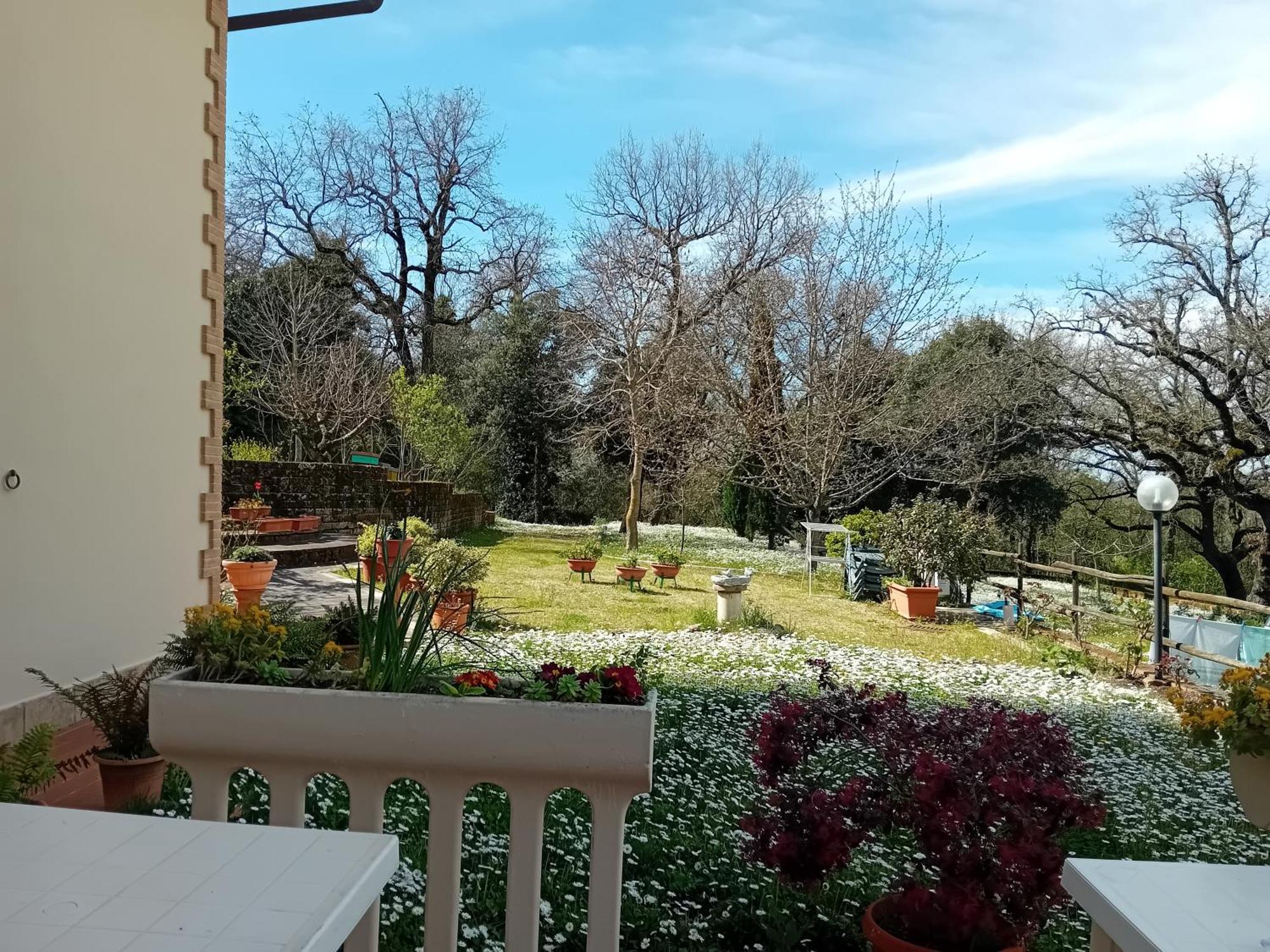 Boscodisotto Bed & Breakfast Rapolano Terme Dış mekan fotoğraf